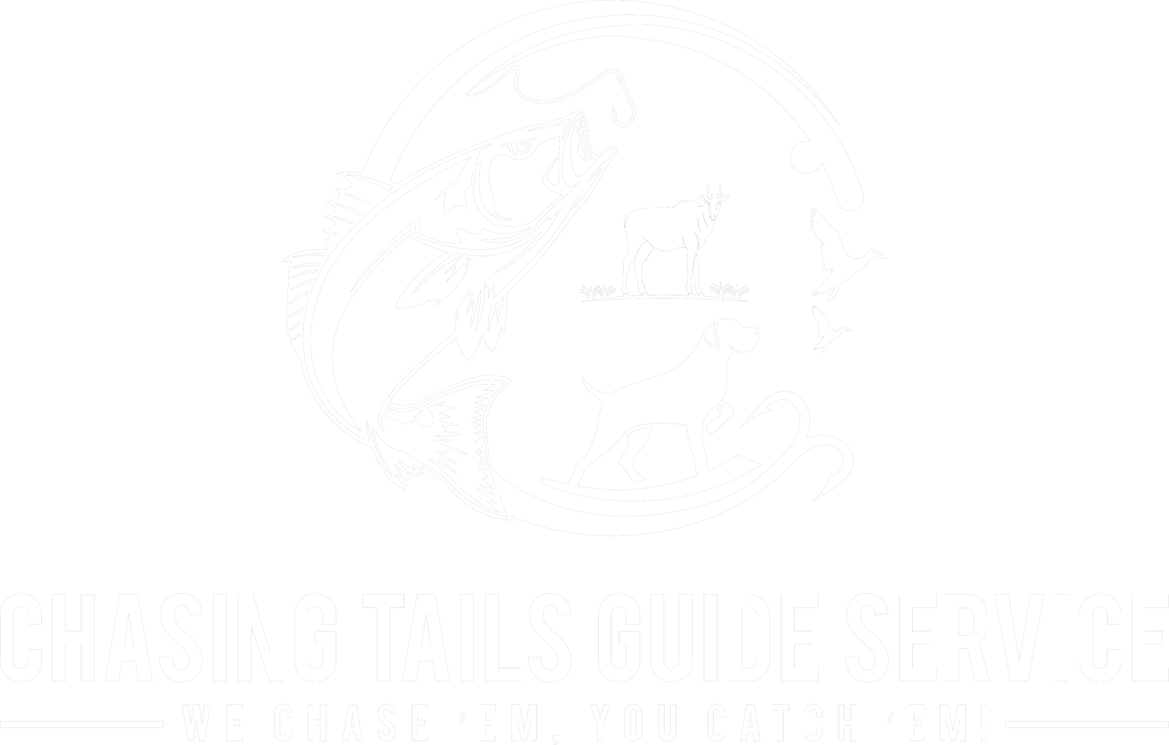 Chasing Tails Guide Service